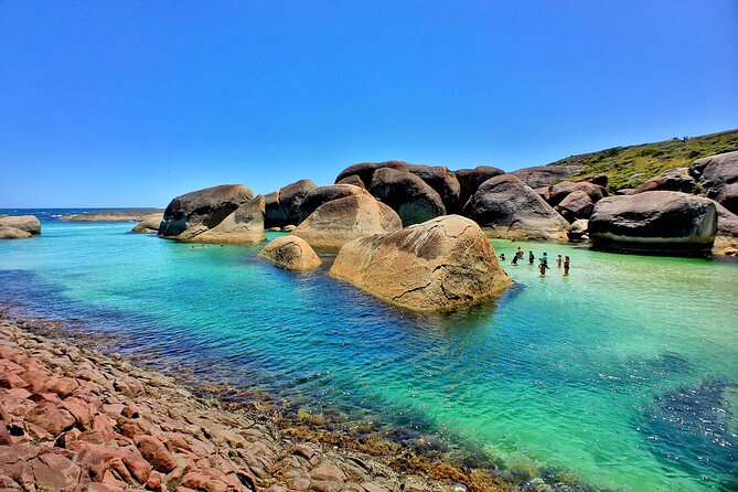 6 Day Esperance & Margaret River Adventure Tour - Highlights & Optional Activities