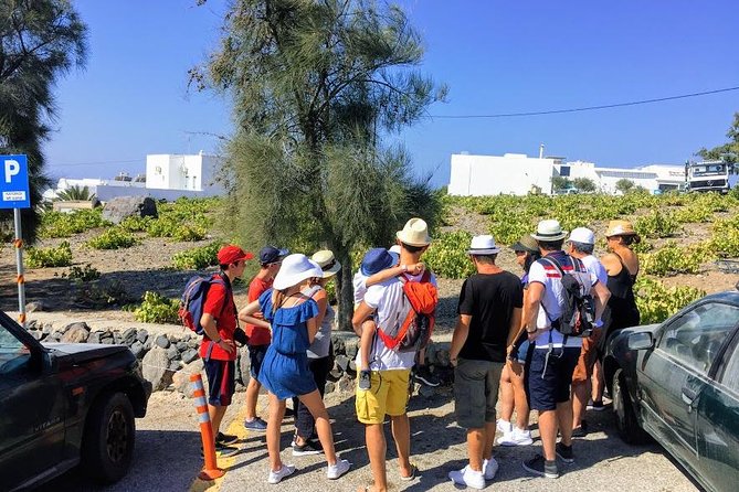 6-Hour Private Best of Santorini Experience - Customer Reviews