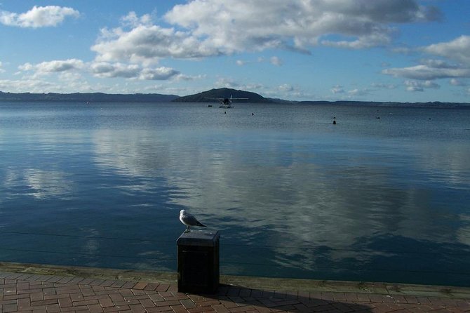 6 Hour Small-Group Rotorua Naturally Shore Excursion From Tauranga - Expert Guides and Insights