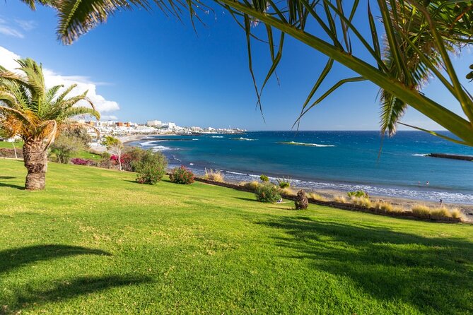 6 Hrs Private Tour In Tenerife - Additional Resources