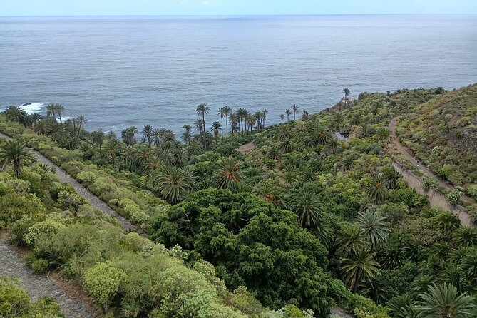 6hrs Private Tour in North Coast of Tenerife - Customer Reviews