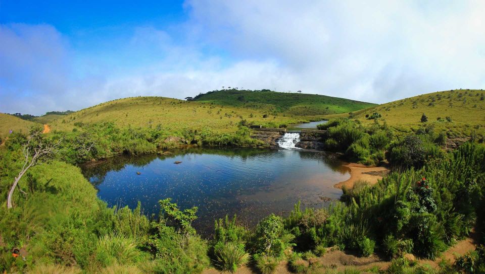 7-Day off the Beaten Nature and Wildlife Tour - Day 03: Horton Plains Exploration