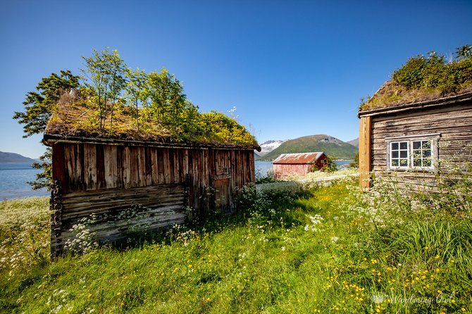 7-Day Self-Drive-Tour Senja Island From Tromsø - Nature & Culture Holiday - Day 5: Outdoor Adventures