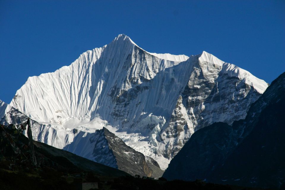 7 Days Langtang Valley Trek From Kathmandu - Flora, Fauna, and Red Pandas