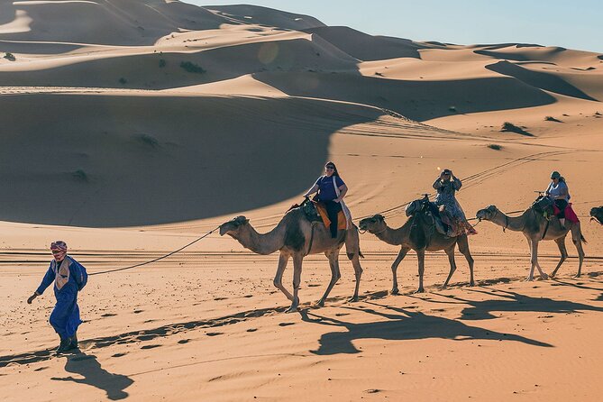 7 Days Luxury Desert Tour From Casablanca to Marrakech via Fez -Camel Trekking - Additional Resources