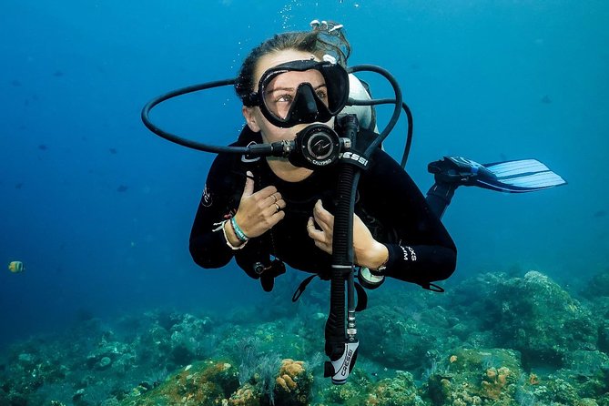 7 Fun Dives in Nusa Lembongan (For Certified Divers) - Premium Value Package - Accommodation Options
