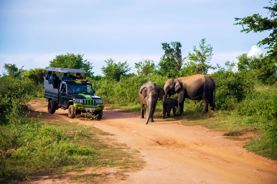 8 Day Tour Sri Lanka With Wildlife & Outdoor Experiences - Rainforest Exploration and River Activities