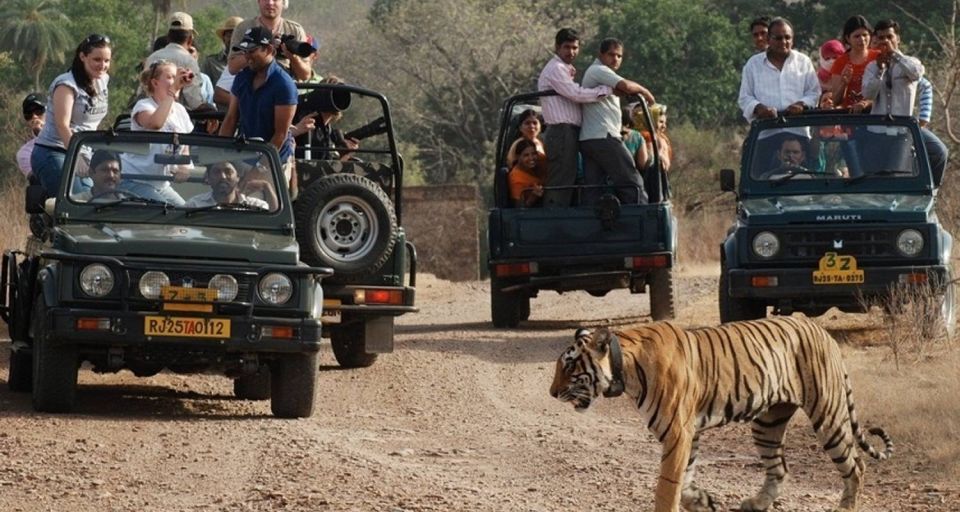 8 Days GOLDEN TRIANGLE EXCURSION WITH RANTHAMBORE WILDLIFE - Departure and Return Details