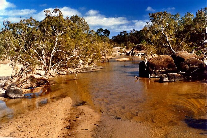 9-Day Small Group Fully Accommodated Cape York 4WD Tour From Cairns - Transport and Logistics