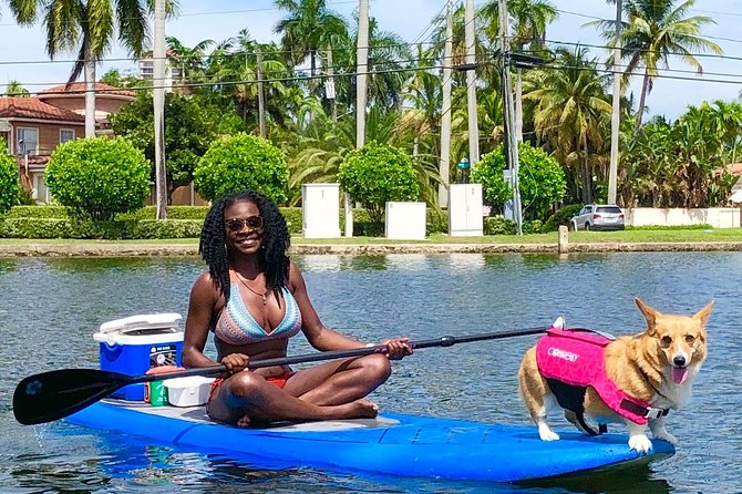90-Minute SUP Tour of Las Olas Canals With a Doggy Guide  - Fort Lauderdale - Customer Recommendations