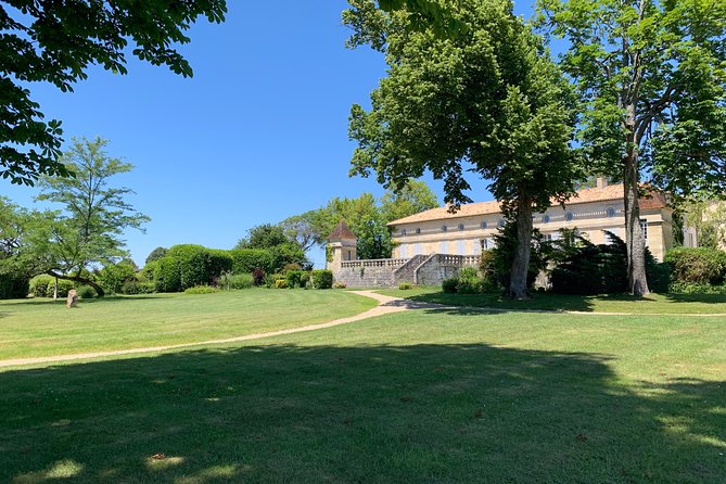 A Day in Saint-Emilion in a Small Group (Electric Luxury Van) - Château Visit