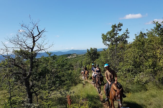A Small-Group, Guided Haute-Provence Horseback Tour (Mar ) - Directions to Meeting Point