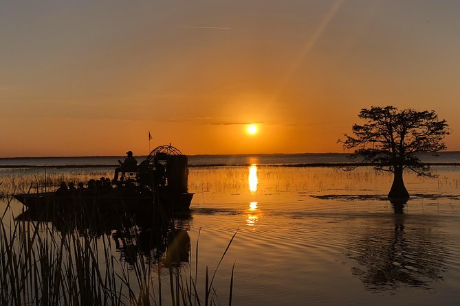 A Sunset Airboat Tour of the Florida Everglades (Mar ) - Viator Information and Pricing