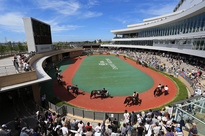 A Tour to Enjoy Japanese Official Gambling (Horse Racing, Bicycle Racing, Pachinko) - Tour Itinerary and Highlights