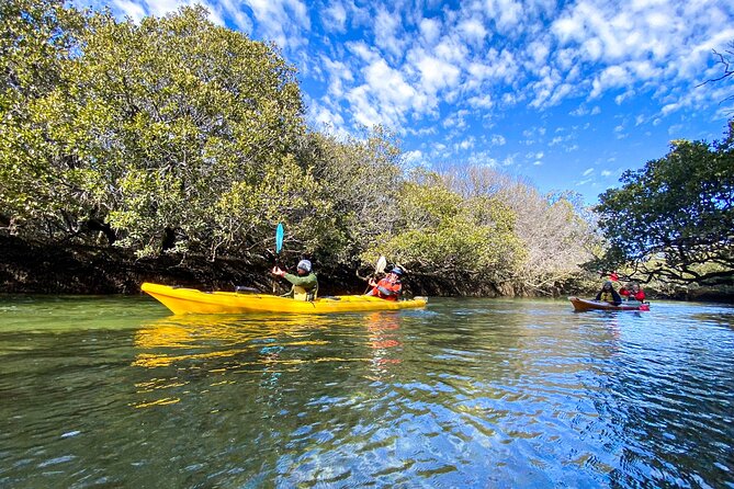 Adelaide Dolphin Sanctuary and Ships Graveyard Kayak Tour - Additional Information and Assistance