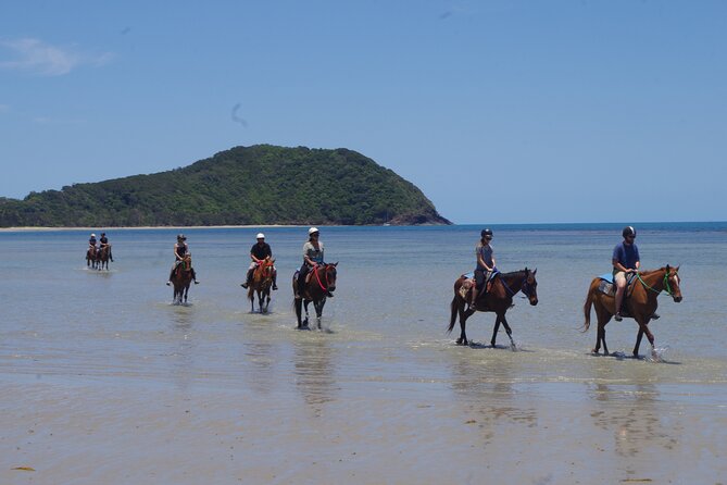 Afternoon Beach Horse Ride in Cape Tribulation - Weather Considerations