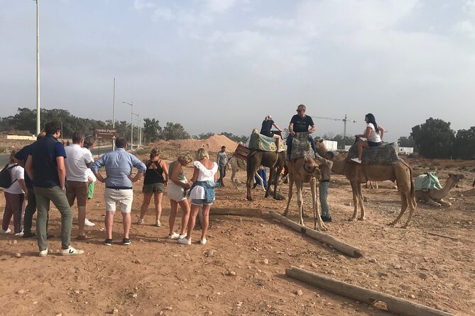 Agadir Camel Riding - Consider Suggestions for Improvement