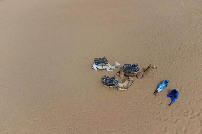 Agadir Sand Dunes and Camel Ride in Tifnit With Lunch - Common questions