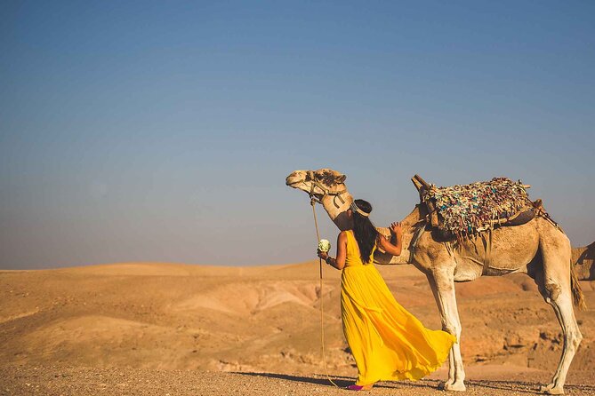 Agafay Desert Package ,Quad Bike, Camel Ride and Dinner Show - Activity Highlights