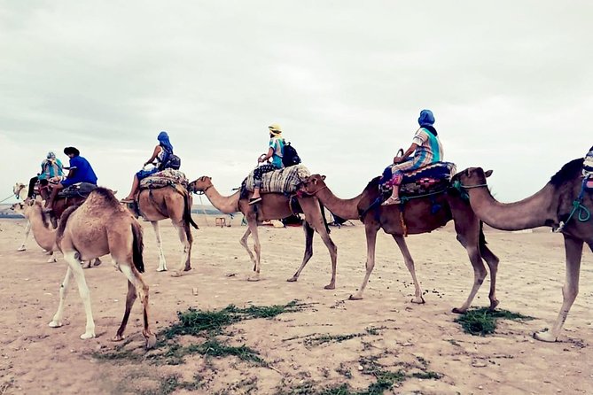 Agafay Half Day Rocky Desert Experience – Quad Bike & Camel Ride - Common questions