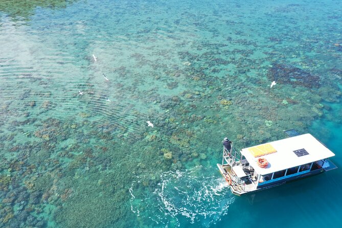 Airlie Beach Glass Bottom Boat Tour - Additional Information