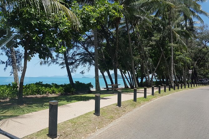 Airport Transfers Between Cairns Airport and Palm Cove - Operating Hours and Group Size Limit