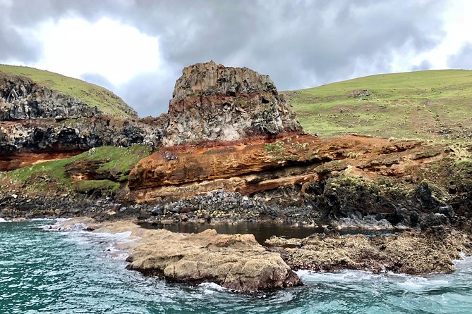 Akaroa and Banks Peninsula Small Group Tour (Nature Cruise or Dolphin Swim) - Common questions