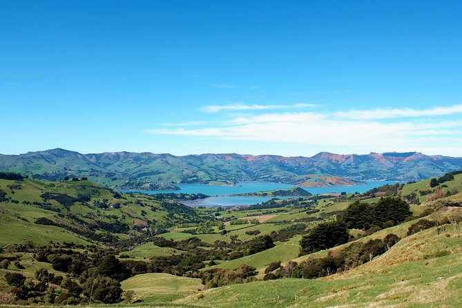 Akaroa and Banks Peninsula Wild Penguins Tour - Common questions