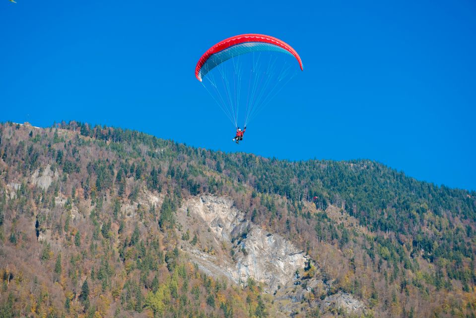 Alanya: Tandem Paragliding Experience - Last Words