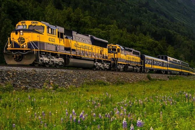 Alaska Railroad Anchorage to Seward Round-Trip Same Day Return - Feedback and Recommendations