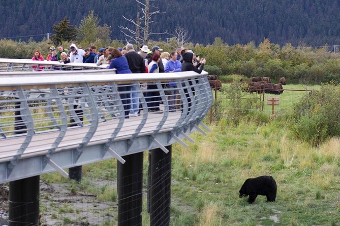 Alaska Wildlife Day Tour With Free Hotel Pickup - Reviews and Customer Satisfaction