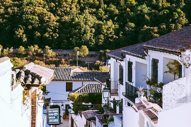 Albayzin and Sacromonte Guided Walking Tour in Granada - Meeting Point