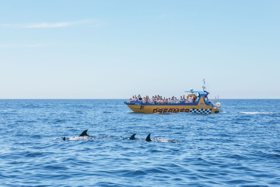 Albufeira: 2.5-Hour Benagil Caves & Dolphin Watching - Customer Reviews