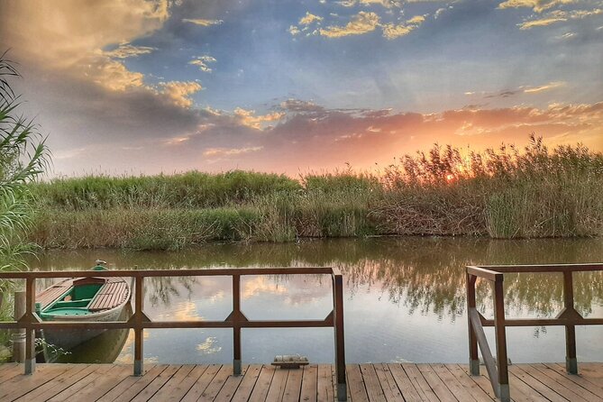 Albufera Natural Park Tour With Boat Ride From Valencia - Recommendations and Satisfaction Levels