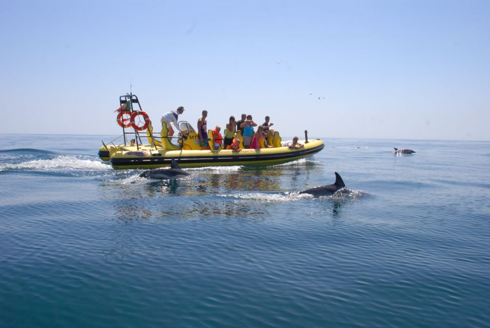 Algarve Coast: Dolphin Watching & Cave Tour - Location Details