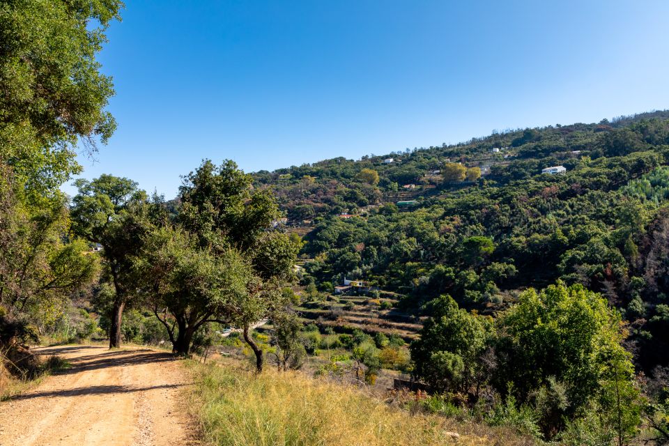 Algarve: Jeep Safari With Distillery Visit & Lunch - Multilingual Tour Guide