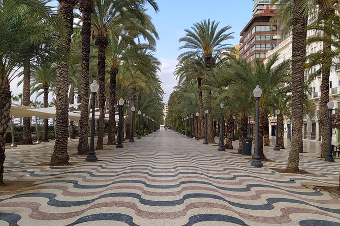 Alicante Highlights Private Tour With Castle - Pricing Information