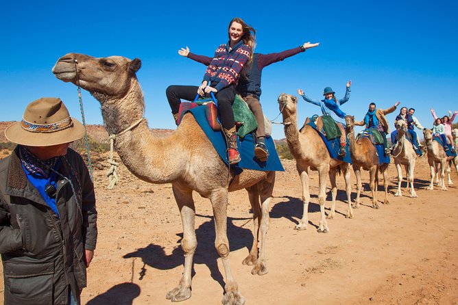 Alice Springs Camel Tour - Common questions