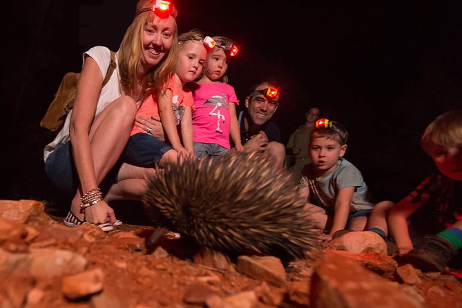 Alice Springs Desert Park Nocturnal Tour - Directions and Pricing