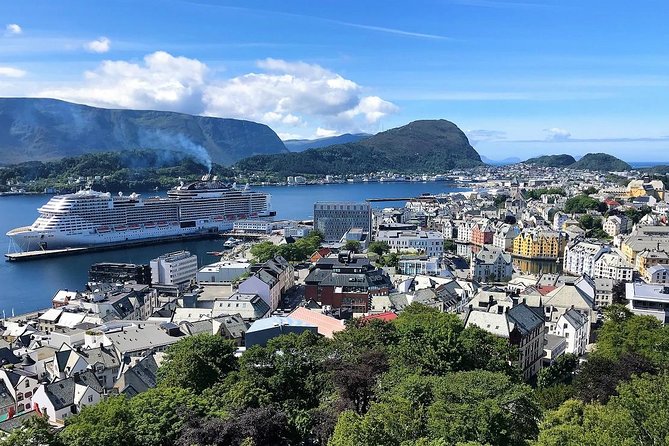 All Alesund Highlights in One Tour - Assistance and Contact Information