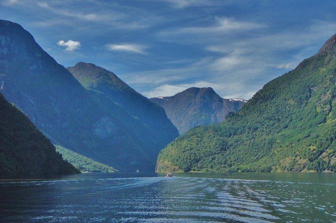 ALL Electric: Emission Free Tour to the World Heritage Fjords, 13 Hours - Sustainable Tourism Focus