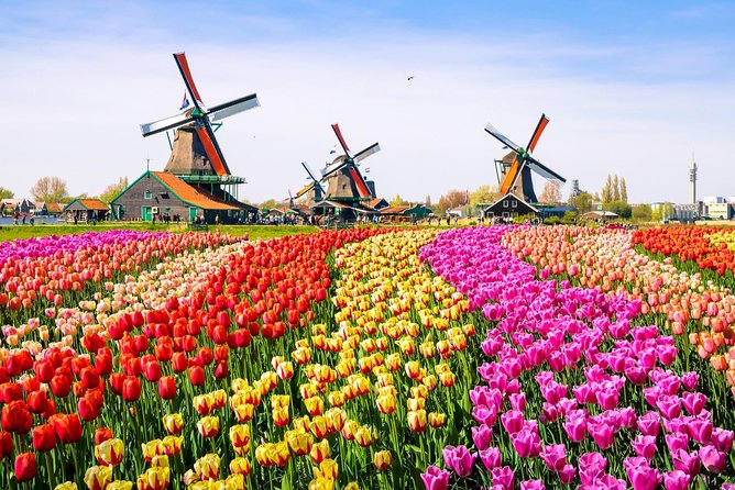 Amsterdam: Tour to Zaanse Schans, Volendam, Marken,Edam and Amsterdam Bus Tour - Booking Information