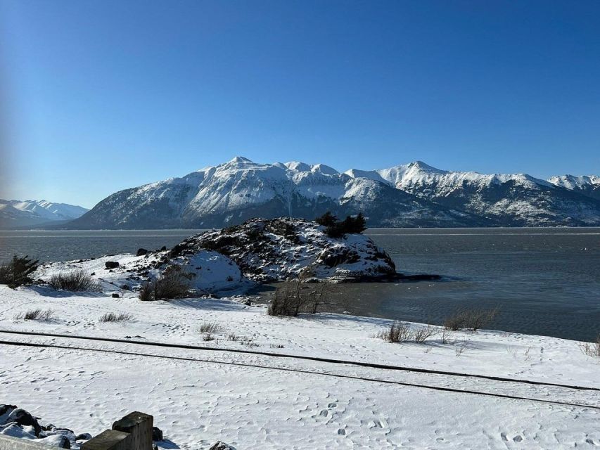 Anchorage: Alaska Wildlife Center and Turnagain Arm Tour - Last Words