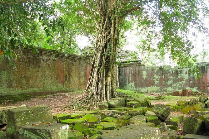 Angkor Wat and Royal Temples Private Tour From Siem Reap - Insider Tips