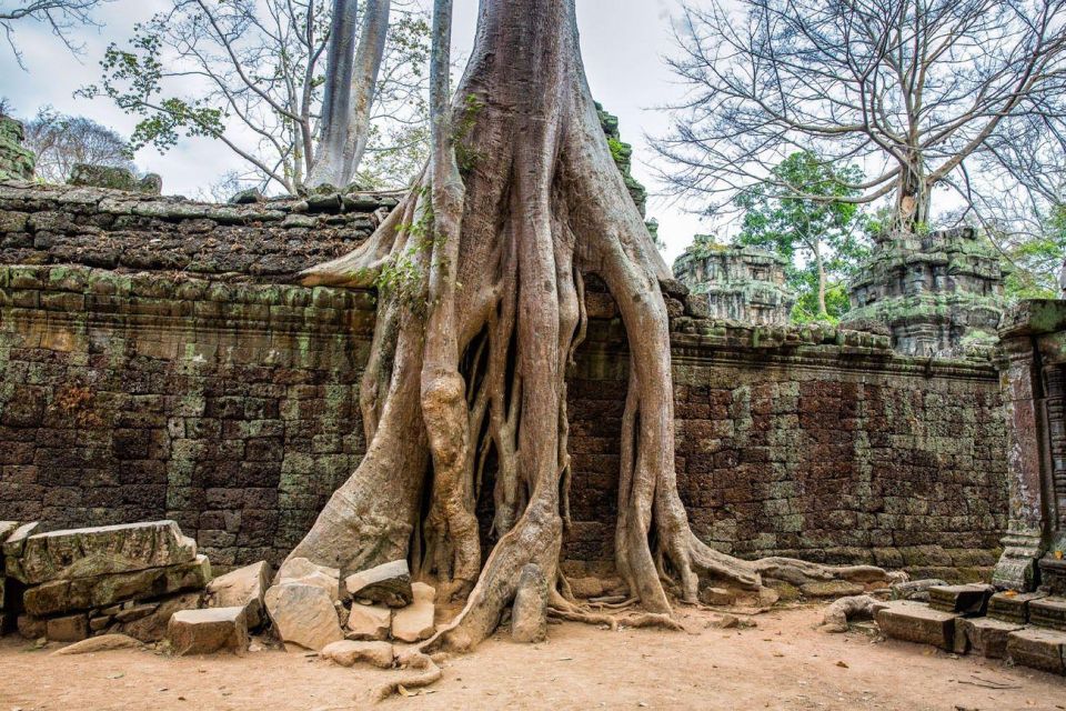 Angkor Wat Small Tour With Private Tuk Tuk - Pickup Instructions