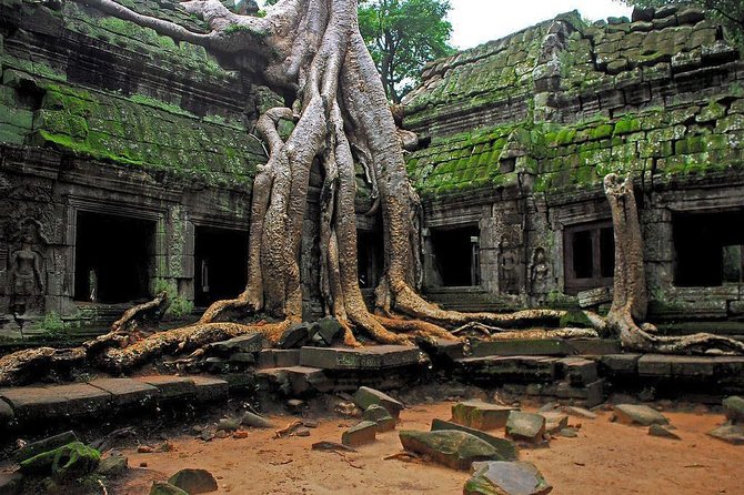 Angkor Wat Sunrise and Tonle Sap Lake 1.5 Days - Accommodation and Dining Options