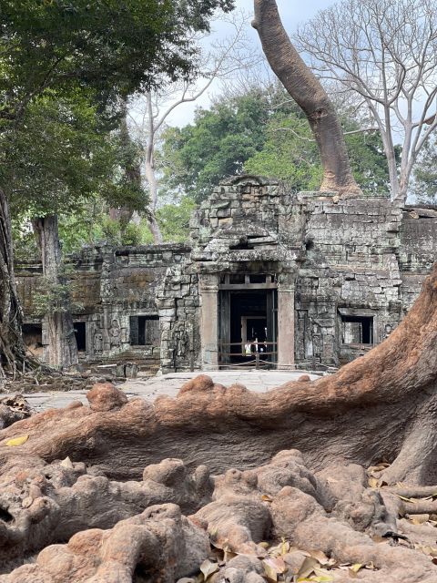 Angkor Wat Sunrise Private Full Day Tour - Ta Prohm and Return
