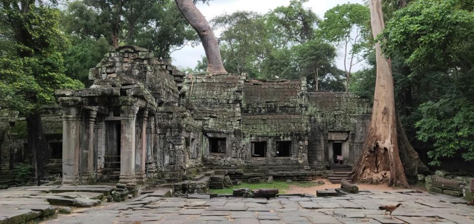 Angkor Wat Temples With Sunrise Tour by Car - Full Itinerary