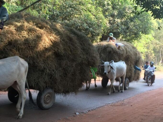 Angkor Wat Three Days Tour Including Phnom Kulen. - Planning Recommendations