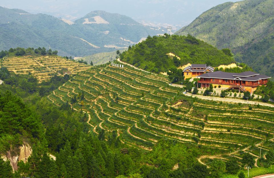 Anxi Tea Garden and Hong'En Rock From Xiamen - Additional Information
